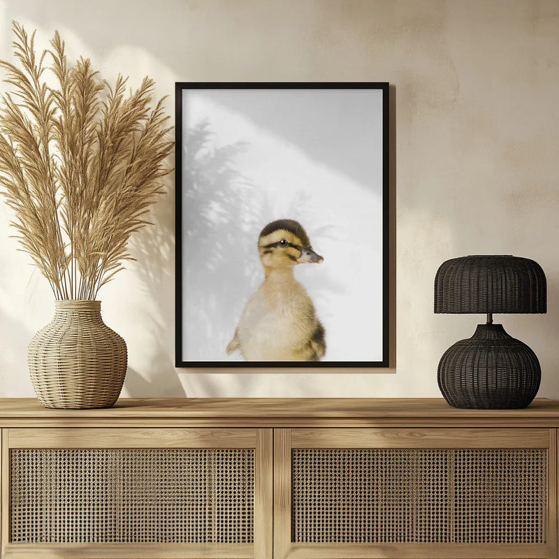 Baby Duck Framed Art Kathrin Pienaar | Home or Office Art