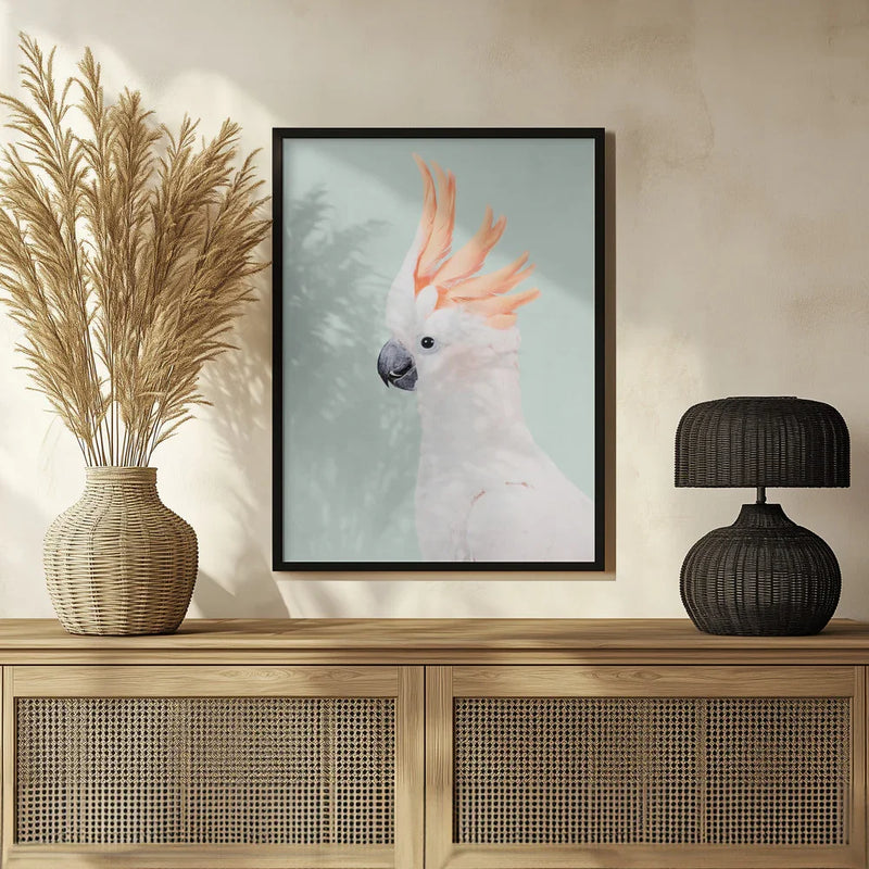 Cockatoo Framed Art Kathrin Pienaar | Home or Office Art