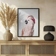 Pink Cockatoo Framed Art Kathrin Pienaar | Home or Office Art