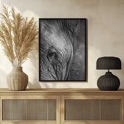 Elephant Study Framed Art Shot by Clint | Home or Office Art