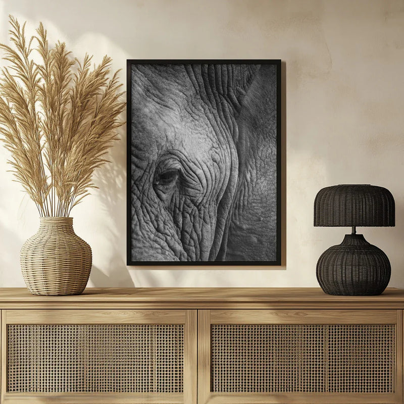 Elephant Study Framed Art Shot by Clint | Home or Office Art