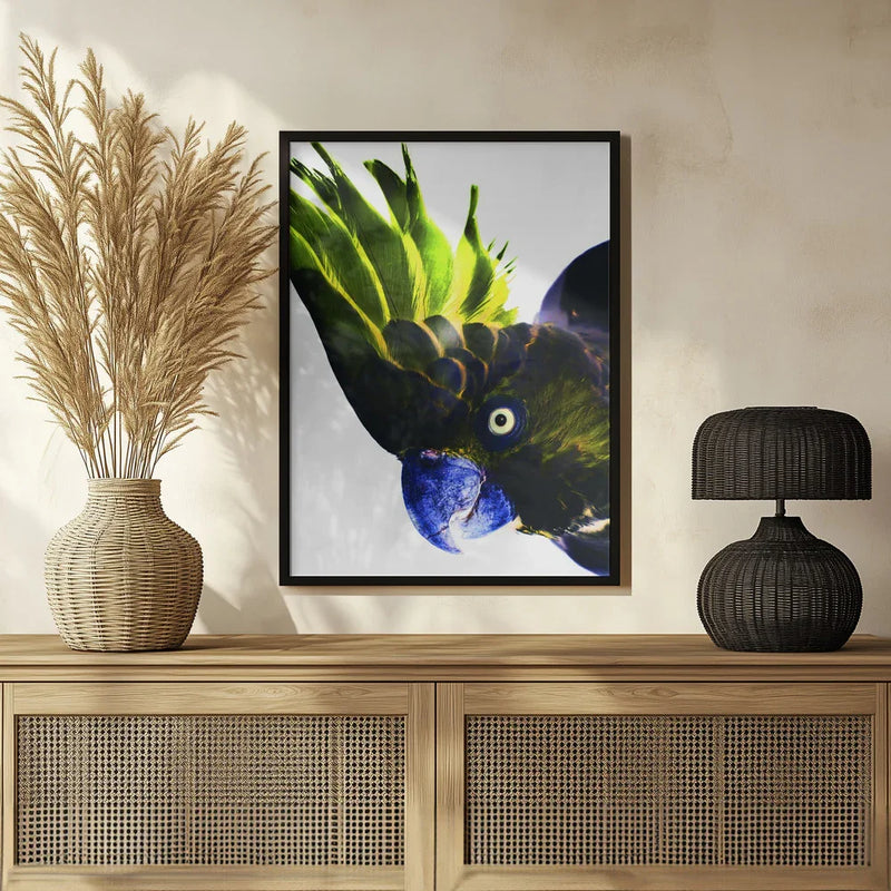 Punk Rocker Framed Art Shot by Clint | Home or Office Art