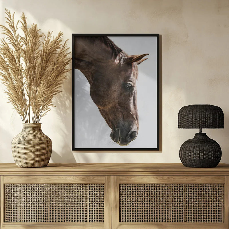 Russian Framed Art Shot by Clint | Home or Office Art