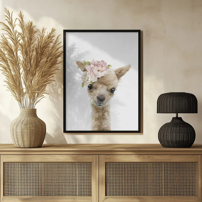 Floral Baby Llama Framed Art Lola Peacock | Home or Office Art