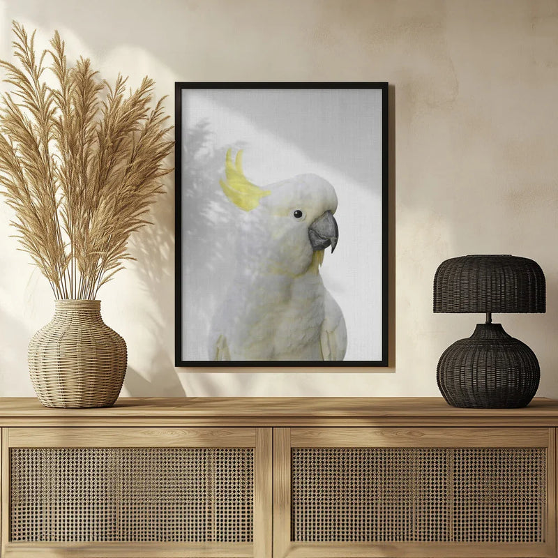 Peekaboo Cockatoo Framed Art Lola Peacock | Home or Office Art