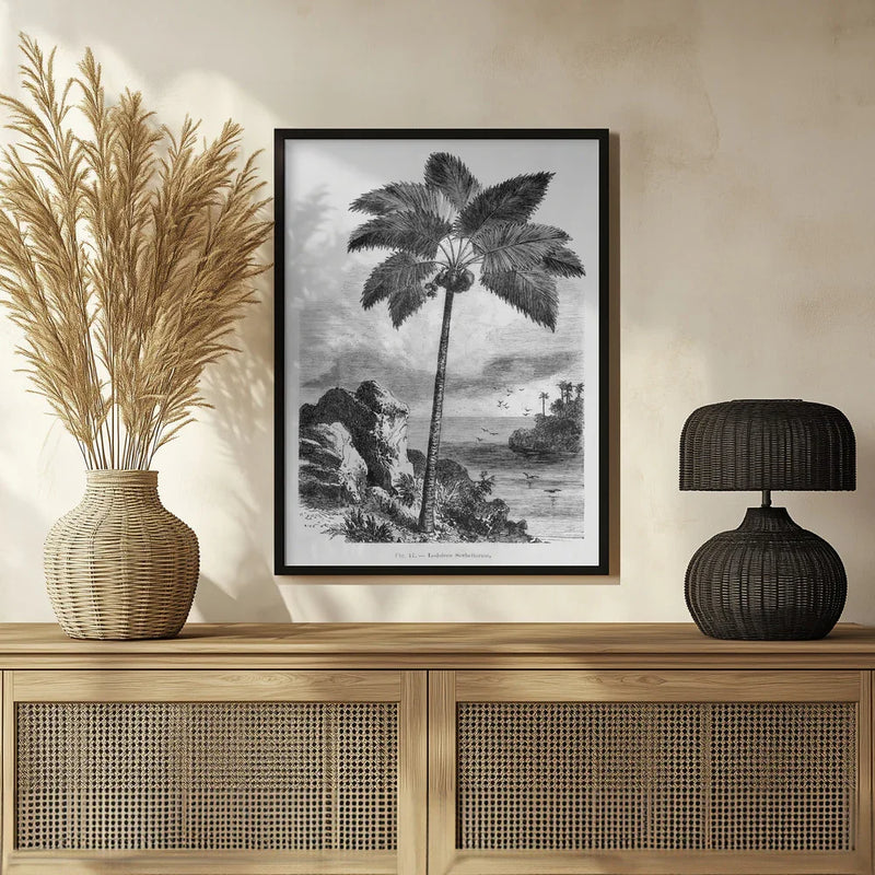 Vintage Palm Tree Drawing I - Les Palmiers Histoire Iconographique Framed Art | Home or Office Art