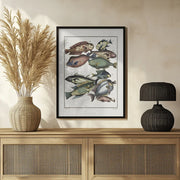 Exotic Fish (1767) By J V Schley - Pictufy Framed Art | Home or Office Art