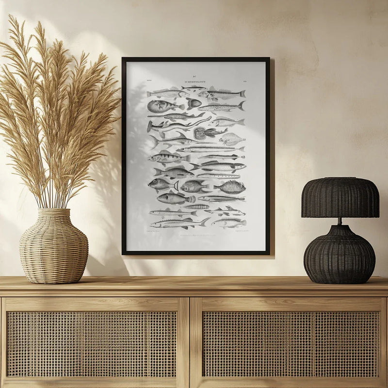 Sealife I - Oliver Goldsmith Framed Art | Home or Office Art