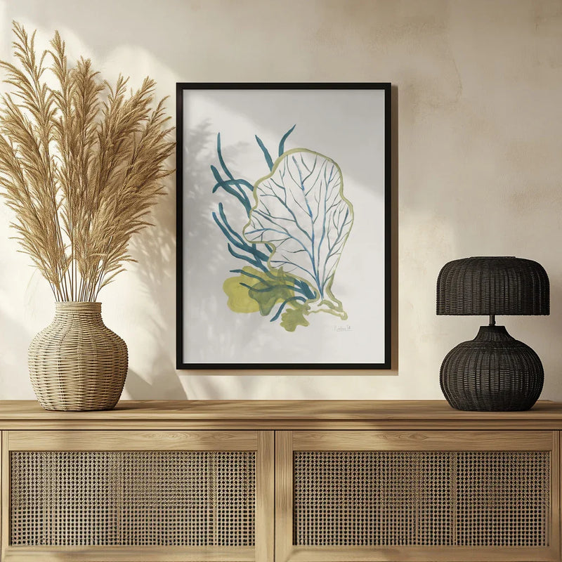 Algae No1 - Catalina Somolinos Framed Art | Home or Office Art