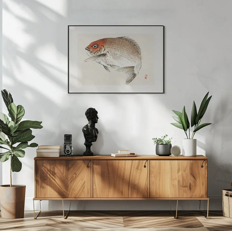 Tai (red Seabream) Fish - Kono Bairei Framed Art | Home or Office Art