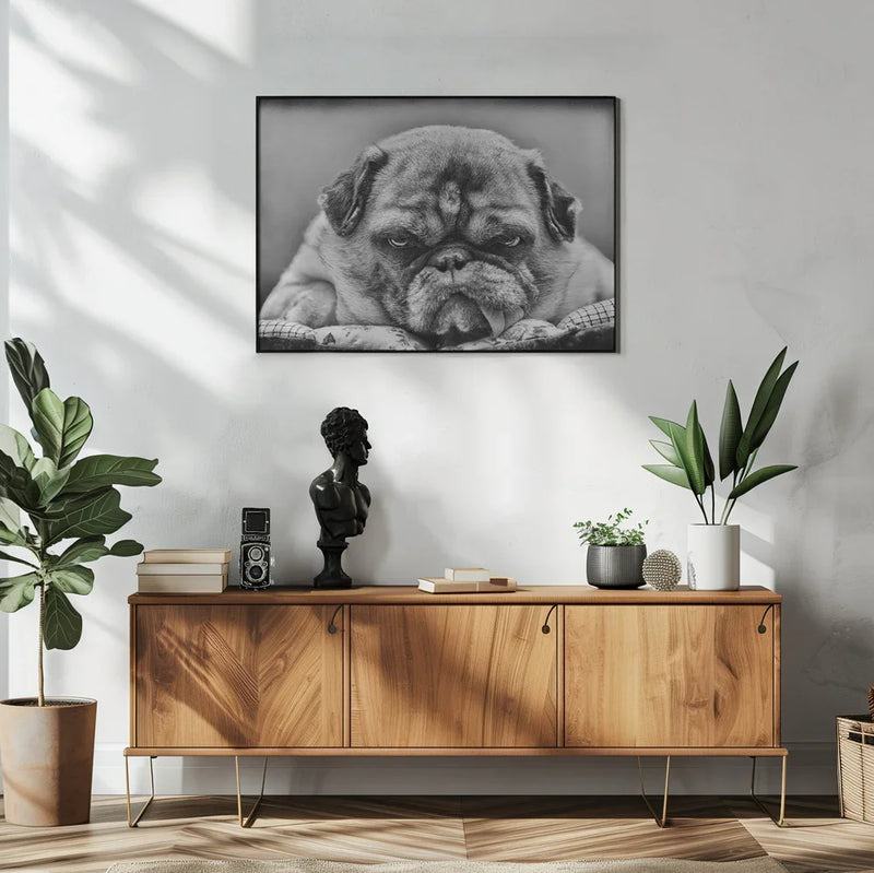 The Boss Framed Art Angelika Martha Himburg | Home or Office Art