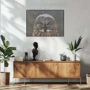 Great Grey Owl Winter Portrait Framed Art Mircea Costina | Home or Office Art