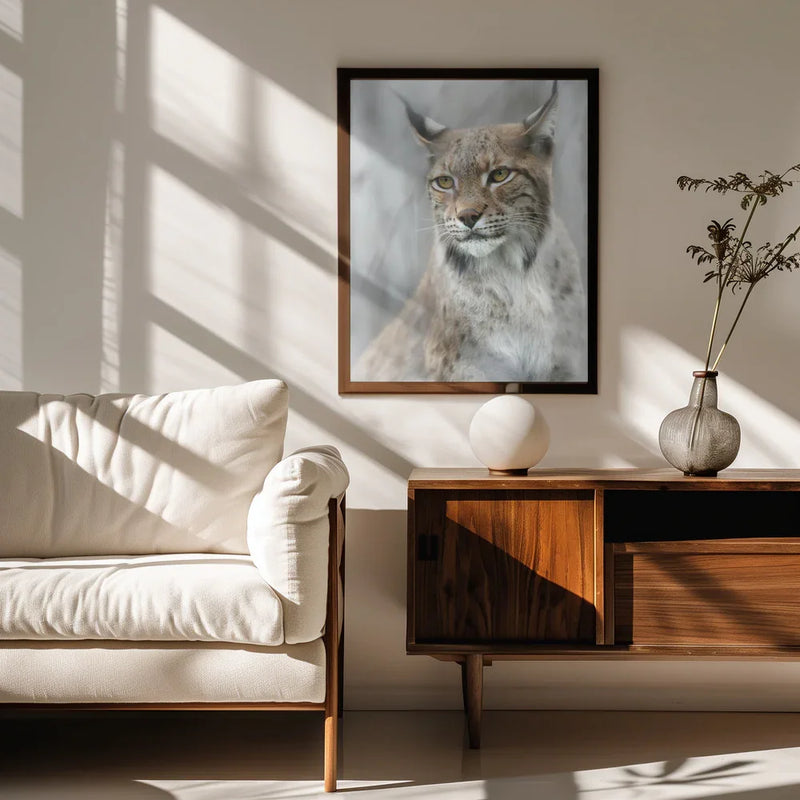 Lynx portrait in the fog Framed Art Santiago Pascual Buye | Home or Office Art