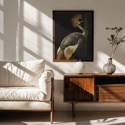 Grey Crowned Crane Framed Art Jealousy | Home or Office Art