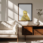 Duck Framed Art Pictufy Studio II | Home or Office Art