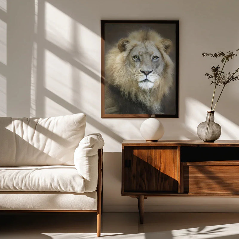 Portrait of a Young Male Lion Framed Art Linda D Lester | Home or Office Art