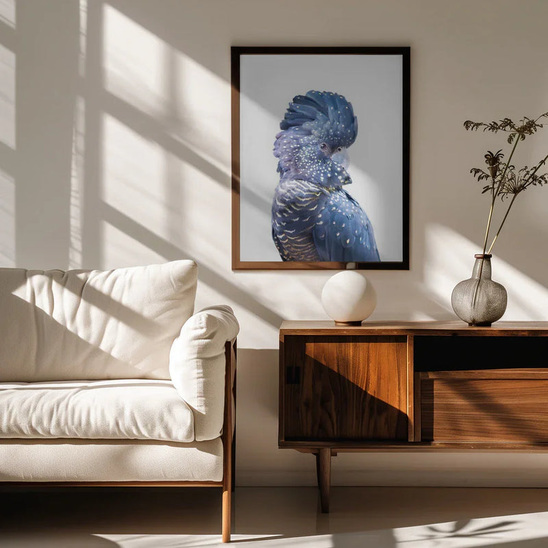 Black Cockatoo Framed Art Kathrin Pienaar | Home or Office Art