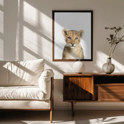 Baby Lion Framed Art Kathrin Pienaar | Home or Office Art