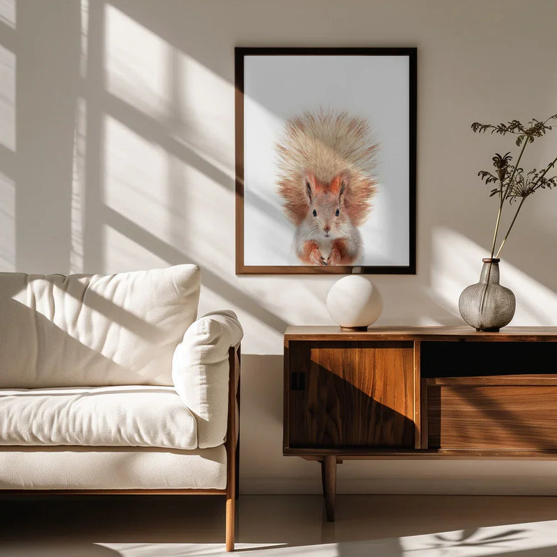 Baby Squirel Framed Art Kathrin Pienaar | Home or Office Art