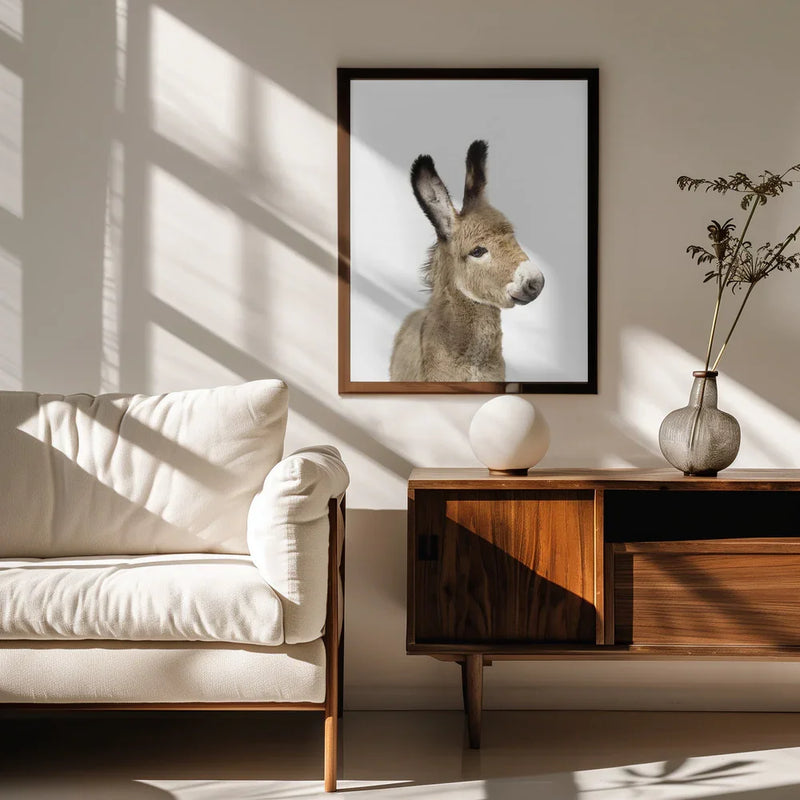 Baby Donkey Framed Art Kathrin Pienaar | Home or Office Art