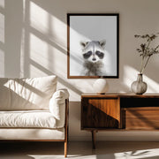 Baby Racoon Framed Art Kathrin Pienaar | Home or Office Art