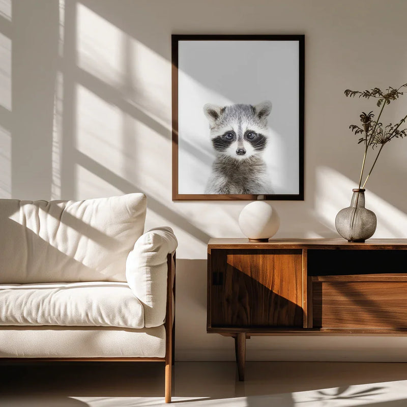Baby Racoon Framed Art Kathrin Pienaar | Home or Office Art