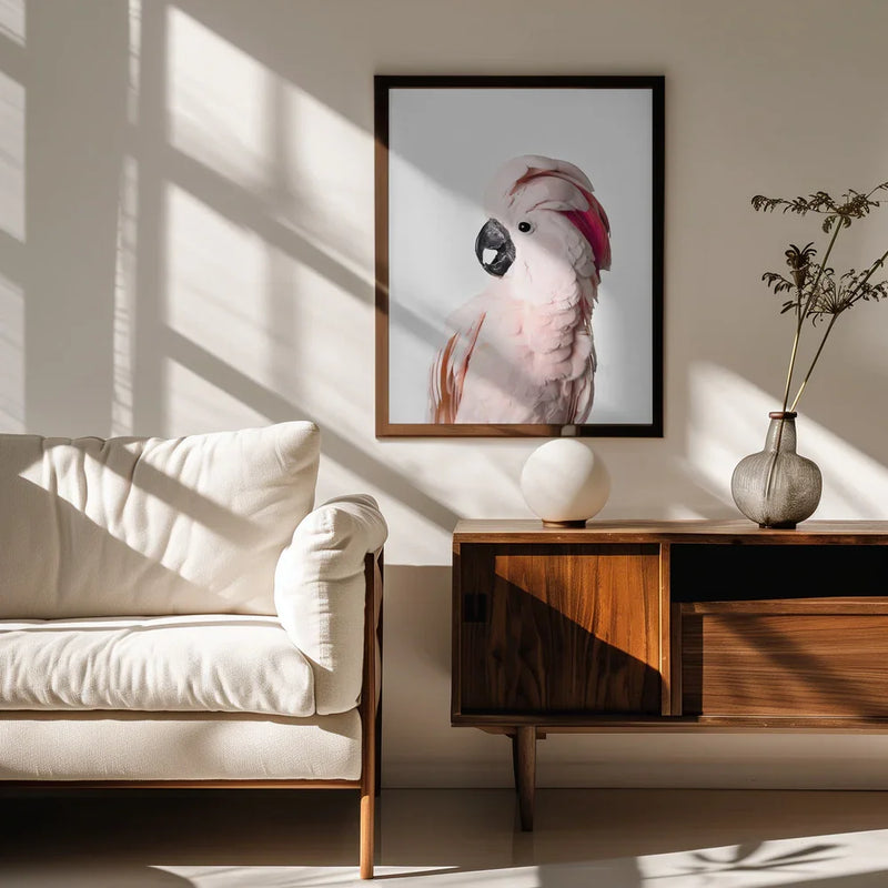 Pink Cockatoo Framed Art Kathrin Pienaar | Home or Office Art