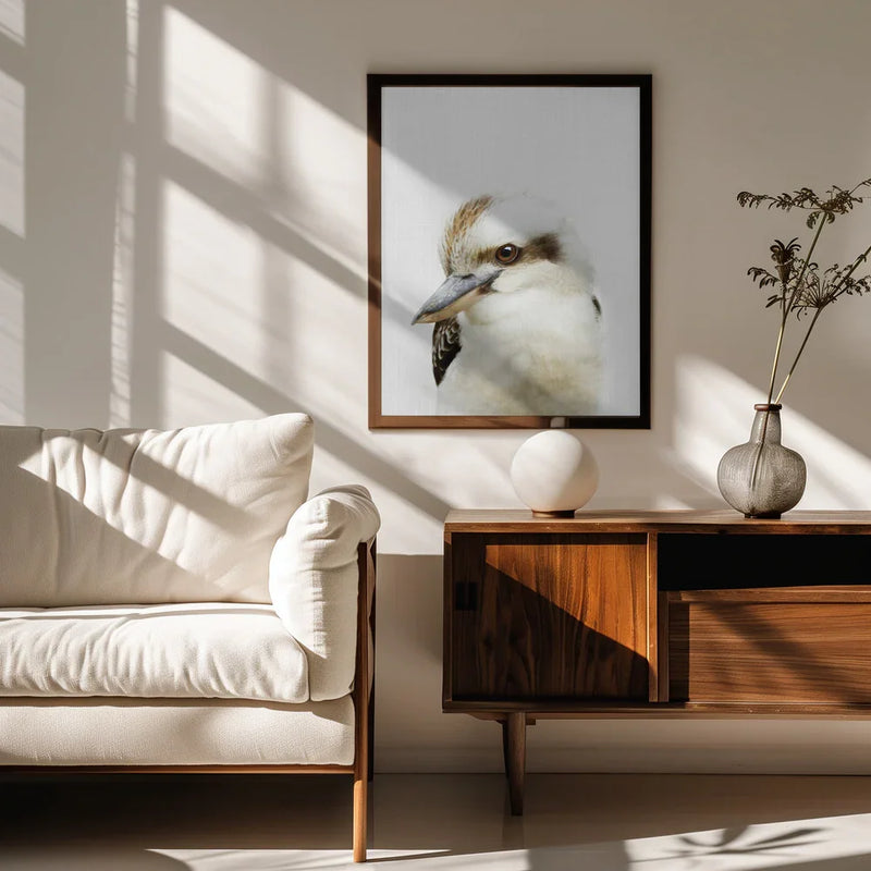 Peekaboo Kookaburra Framed Art Lola Peacock | Home or Office Art