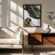 Amazonia Framed Art Shot by Clint | Home or Office Art