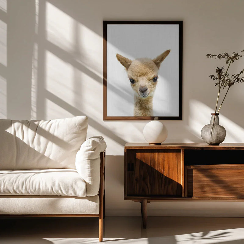 Peekaboo Baby Llama Framed Art Lola Peacock | Home or Office Art