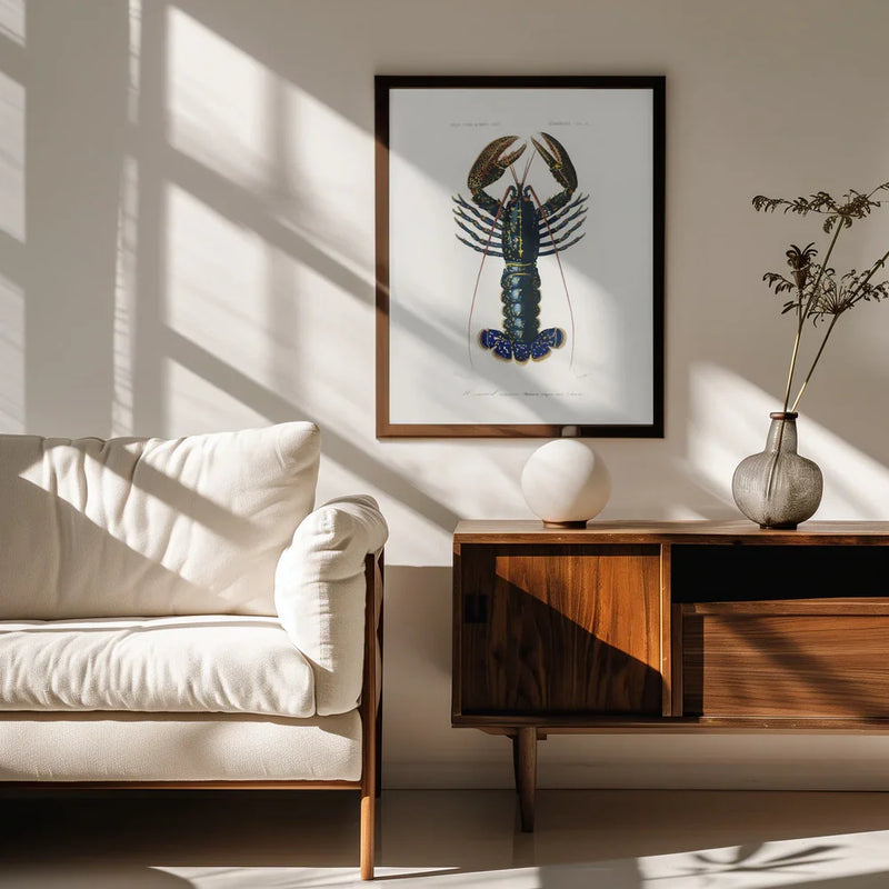 Crimson Crawfish - Charles Dessalines D Orbigny Framed Art | Home or Office Art