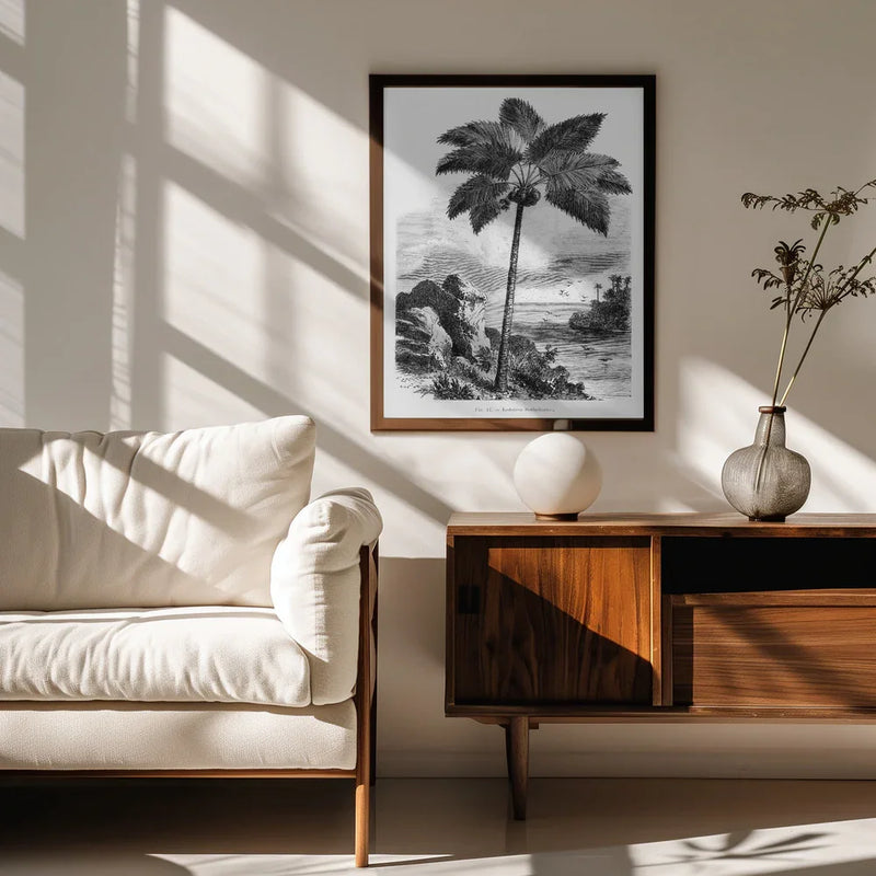 Vintage Palm Tree Drawing I - Les Palmiers Histoire Iconographique Framed Art | Home or Office Art