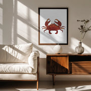 Peter the Crab - Valentina Harper Framed Art | Home or Office Art
