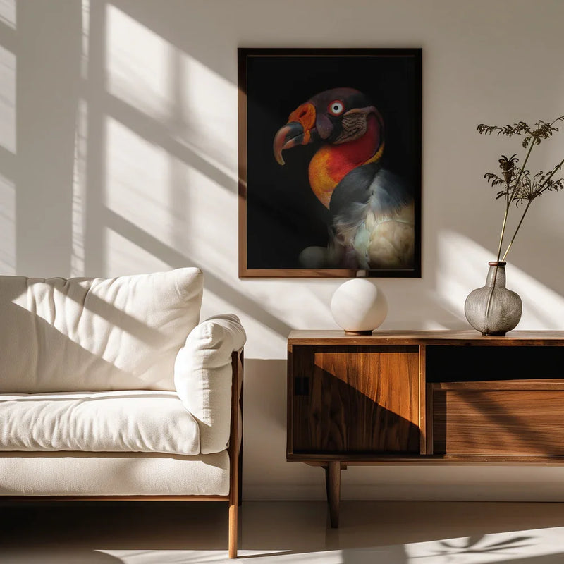 King vultureFramed ArtSarcoramphus papa Framed Art Ferdinando Valverde | Home or Office Art