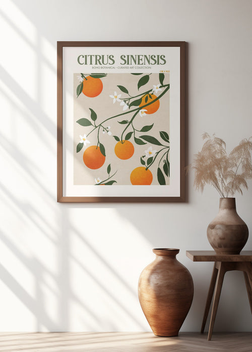 Citrus Framed Art Modern Wall Decor