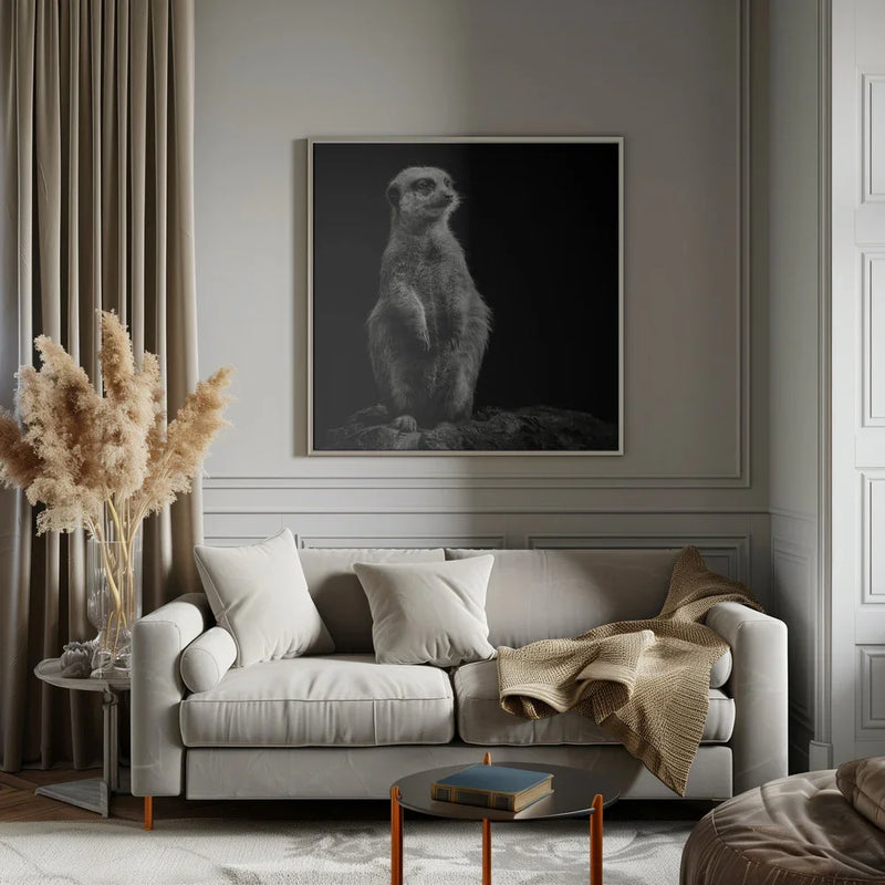 Meerkat by Christian Meermann Square Canvas Print Art for Modern Home Decor. Decorate your office or living room with canvas artwork