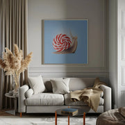 Snail Candy Square Canvas Art  Artem Pozdniakov 