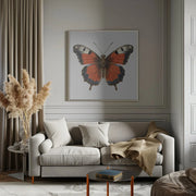 Butterfly 49 by Bilge Paksoylu Square Canvas Print Art for Modern Home Decor. Decorate your office or living room with canvas artwork