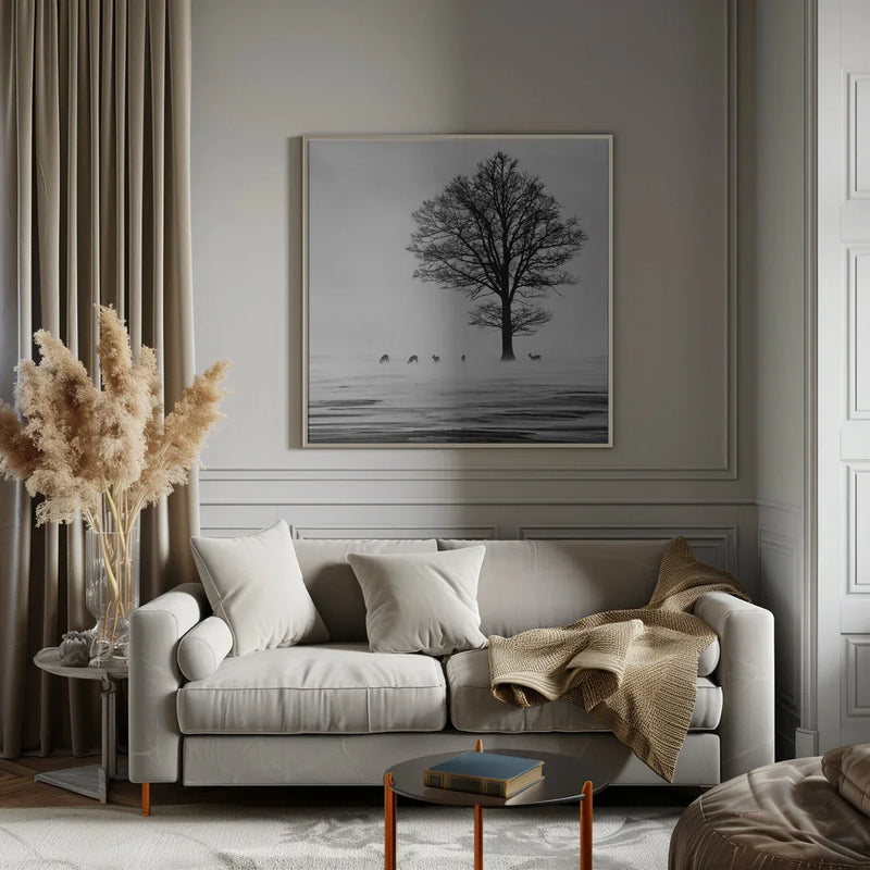 Roes Square Canvas Art  Silvija Danelsone 