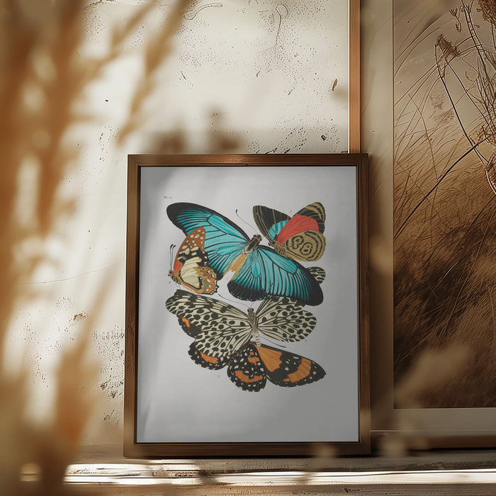 Butterflies 1 Framed Art Modern Wall Decor