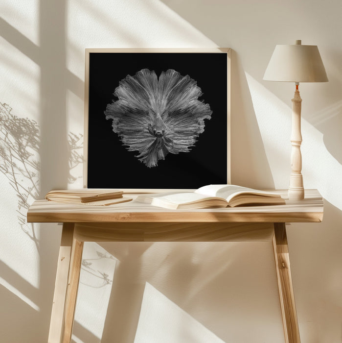 The Flower of tail Square Poster Art Print by Andi Halil