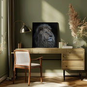 Proud Lion Square Canvas Art  Louise Wolbers 