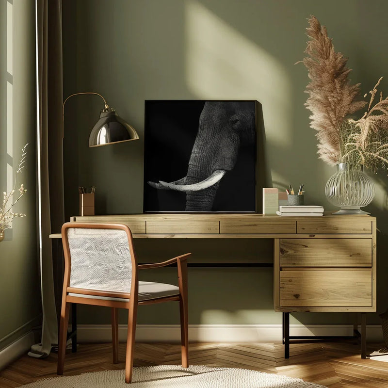 Elephant profile Square Canvas Art  Hannes Bertsch 