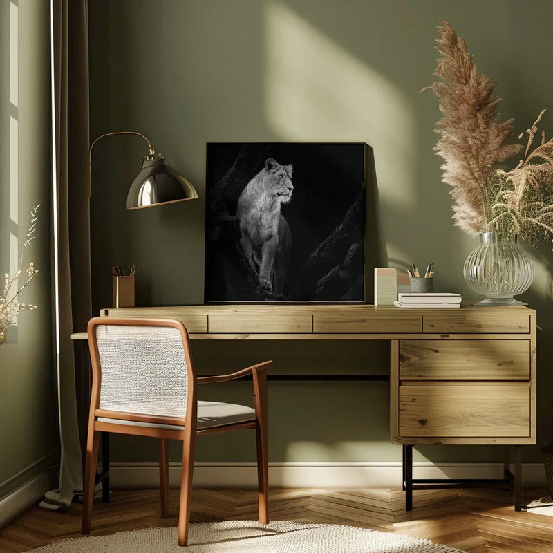 Lioness Square Canvas Art  Christian Meermann 