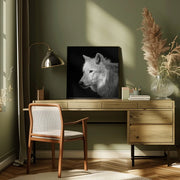 White Wolf #2 by Christian Meermann Square Canvas Print Art for Modern Home Decor. Decorate your office or living room with canvas artwork