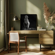 Meerkat by Christian Meermann Square Canvas Print Art for Modern Home Decor. Decorate your office or living room with canvas artwork