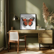 Butterfly 49 by Bilge Paksoylu Square Canvas Print Art for Modern Home Decor. Decorate your office or living room with canvas artwork