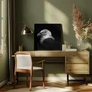 Eurasian Griffon #7 by Christian Meermann Square Canvas Print Art for Modern Home Decor. Decorate your office or living room with canvas artwork