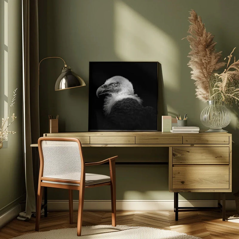 Eurasian Griffon #7 by Christian Meermann Square Canvas Print Art for Modern Home Decor. Decorate your office or living room with canvas artwork