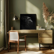 Gorilla by Christian Meermann Square Canvas Print Art for Modern Home Decor. Decorate your office or living room with canvas artwork